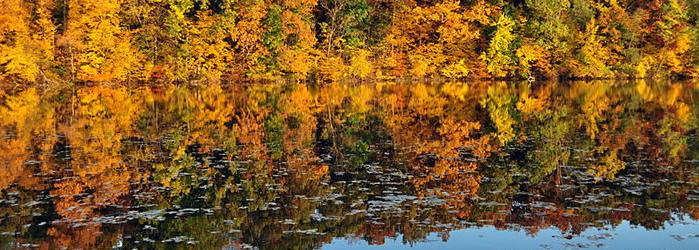 Ann Arbor Residents of A-Squared (Ann Arbor) experience four seasons, as highlighted by this beautiful fall scene along the Huron River. Courtesy of Wikipedia.org